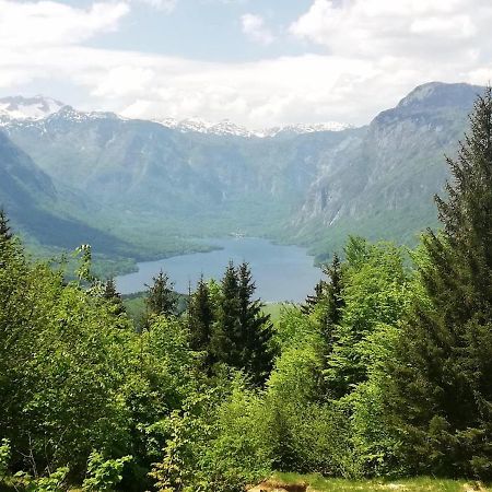 Apartment Ana Bohinj Εξωτερικό φωτογραφία
