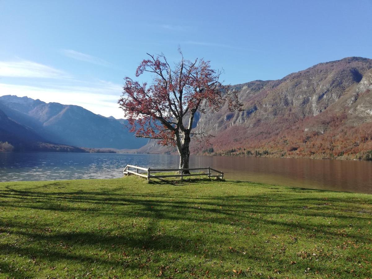 Apartment Ana Bohinj Εξωτερικό φωτογραφία