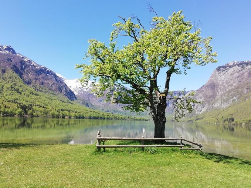 Apartment Ana Bohinj Εξωτερικό φωτογραφία