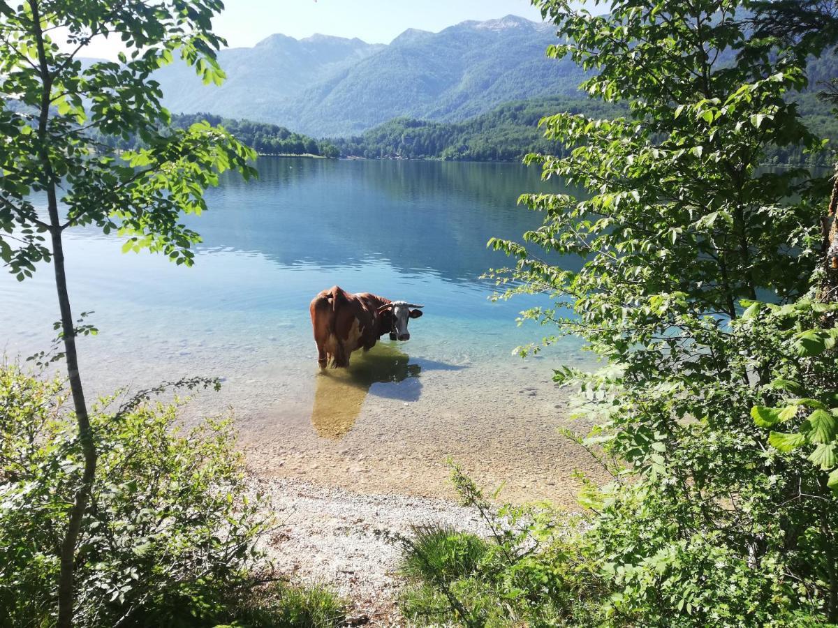 Apartment Ana Bohinj Εξωτερικό φωτογραφία