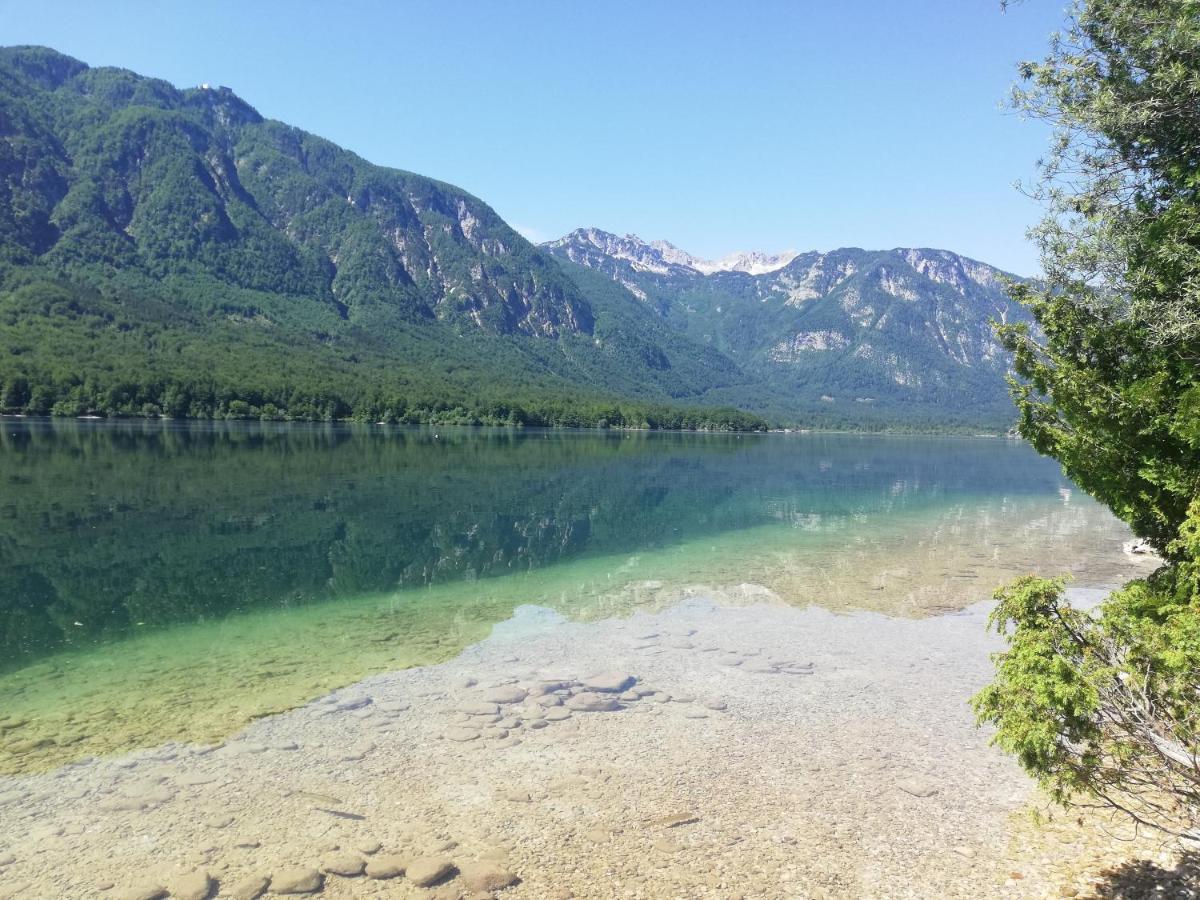 Apartment Ana Bohinj Εξωτερικό φωτογραφία