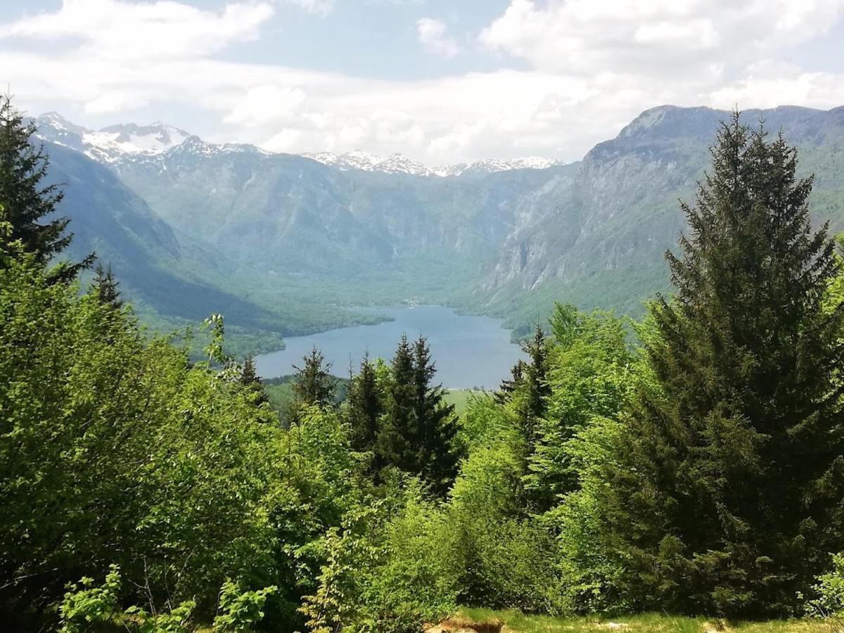 Apartment Ana Bohinj Εξωτερικό φωτογραφία