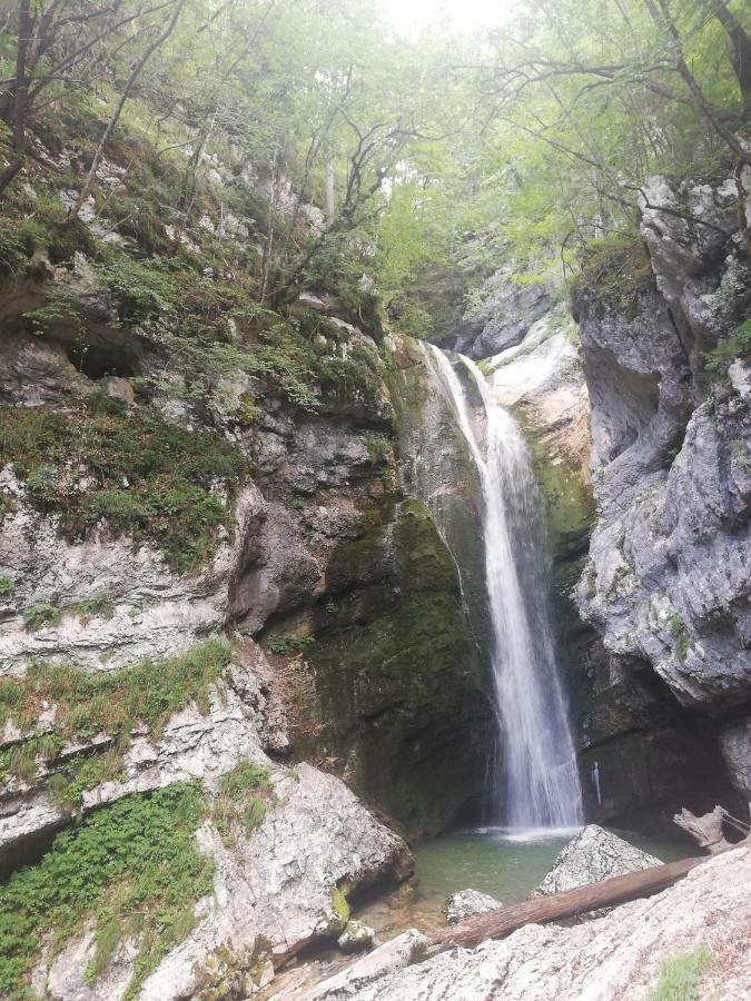 Apartment Ana Bohinj Εξωτερικό φωτογραφία